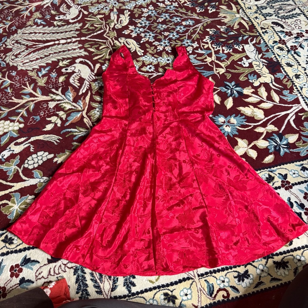 Erika Taylor vintage red nightgown slip dress